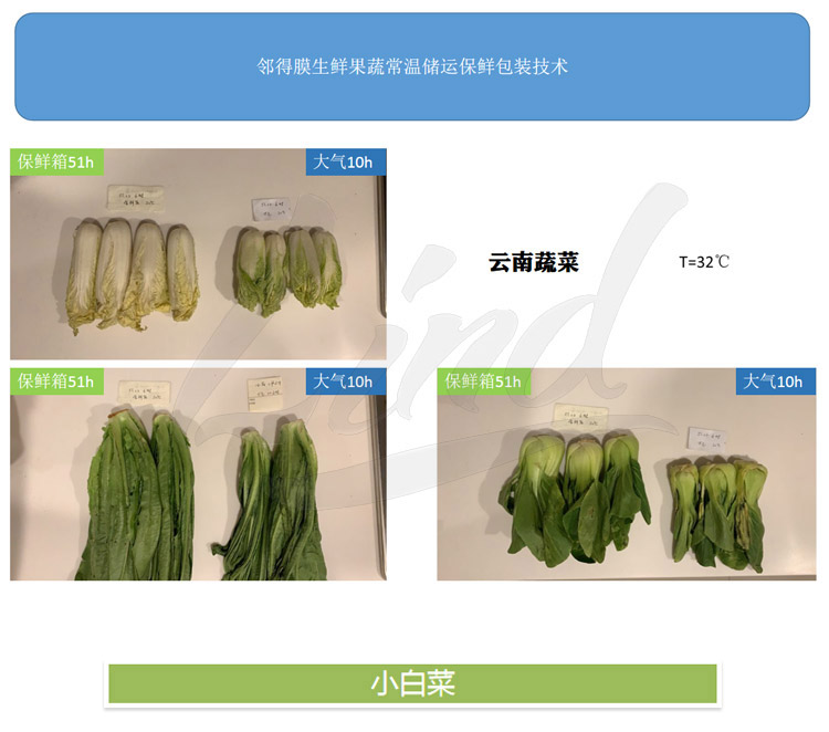 鄰得膜生鮮果蔬自發(fā)氣調(diào)保鮮包裝技術(shù)詳情換成這個_01.jpg