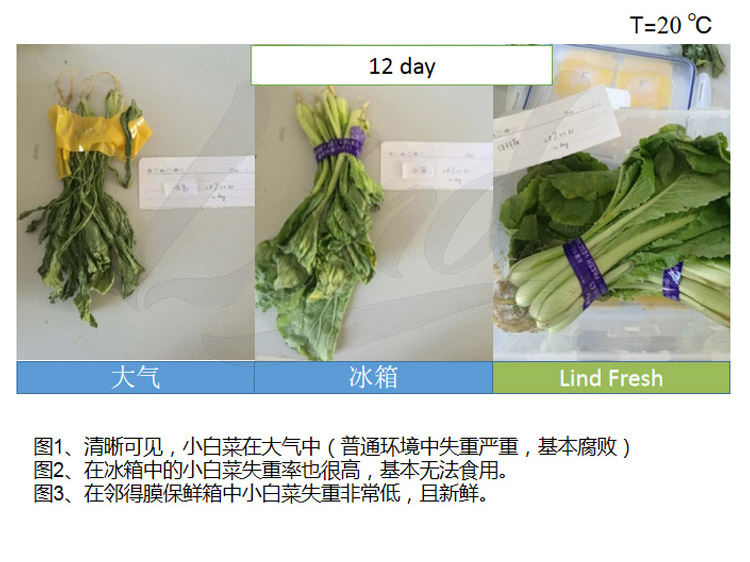 鄰得膜生鮮果蔬自發(fā)氣調(diào)保鮮包裝技術(shù)詳情換成這個_02.jpg