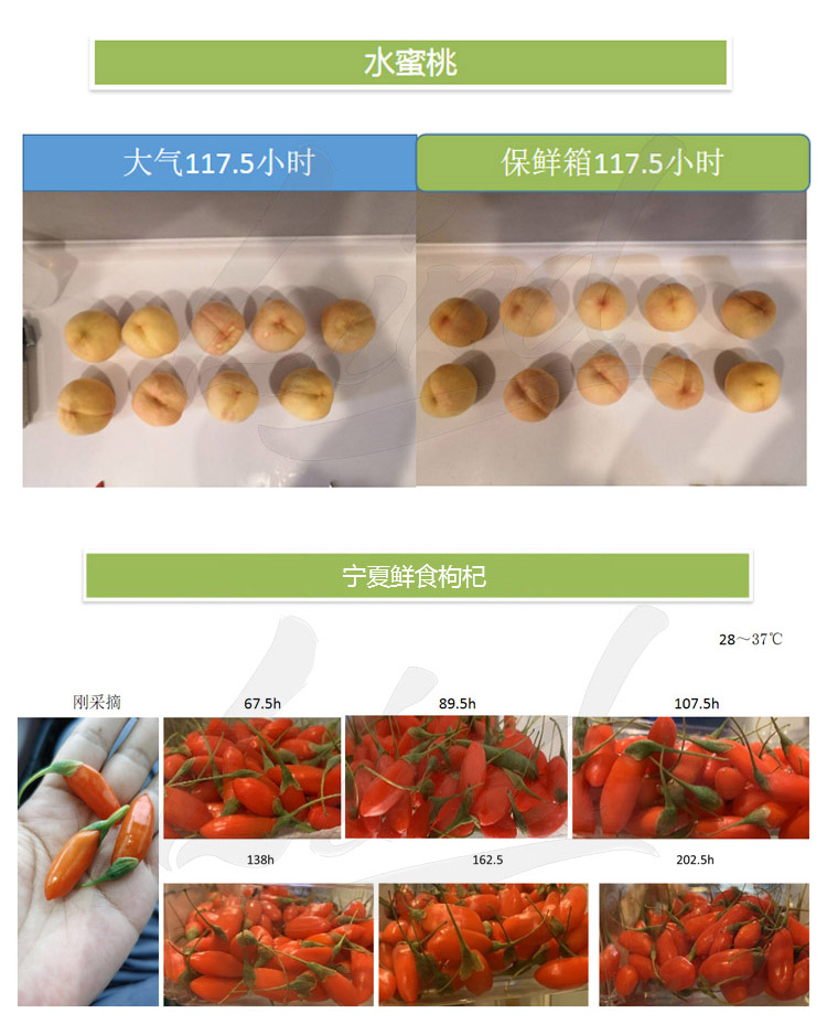 鄰得膜生鮮果蔬自發(fā)氣調(diào)保鮮包裝技術(shù)詳情換成這個_04.jpg